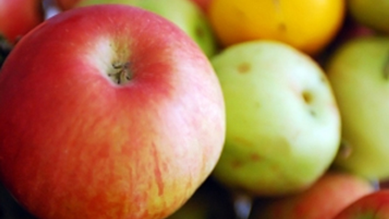 appels-fruit-groot.jpg
