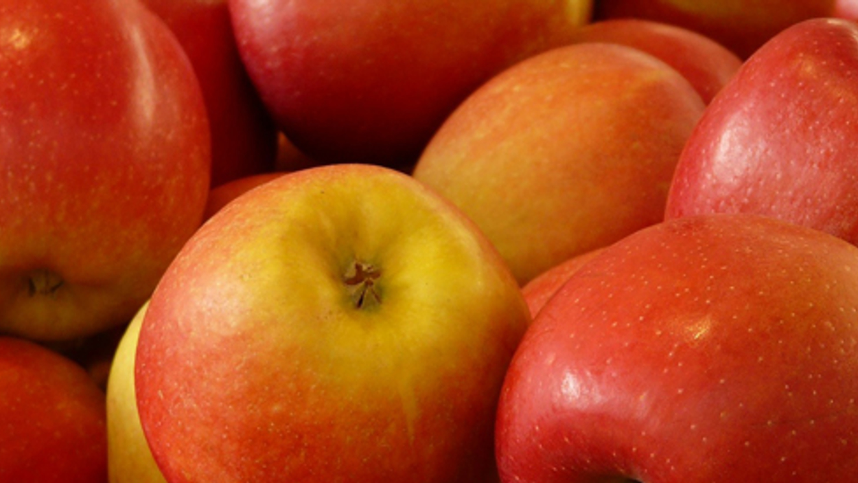 600x275_appels.jpg