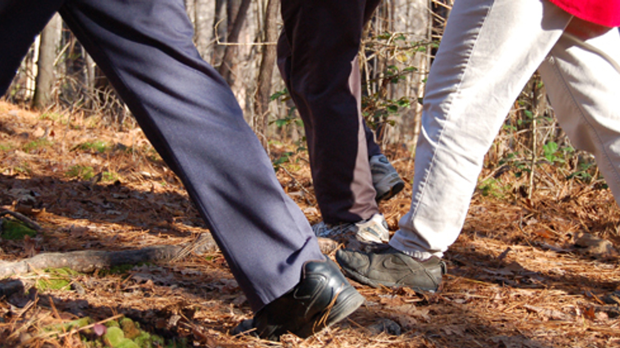 wandelen_01.jpg