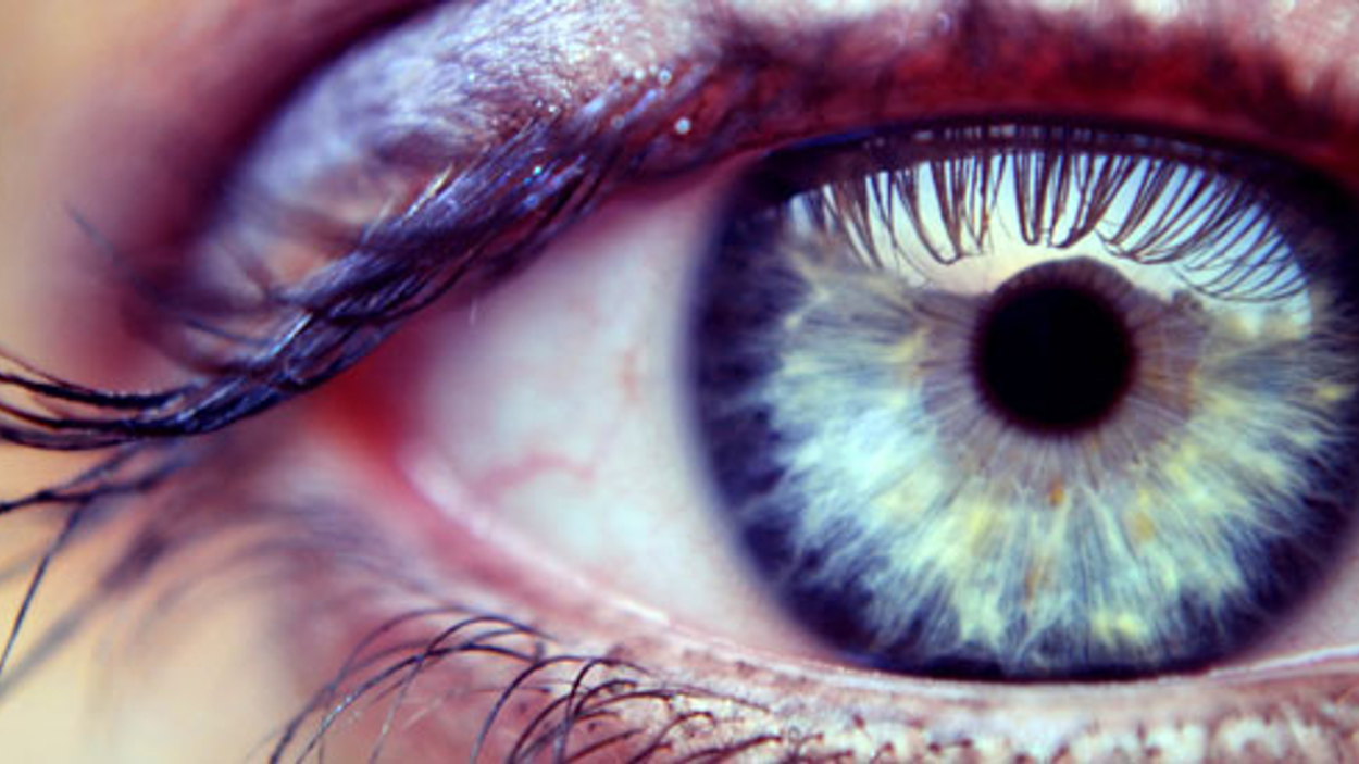 Oog_02.jpg