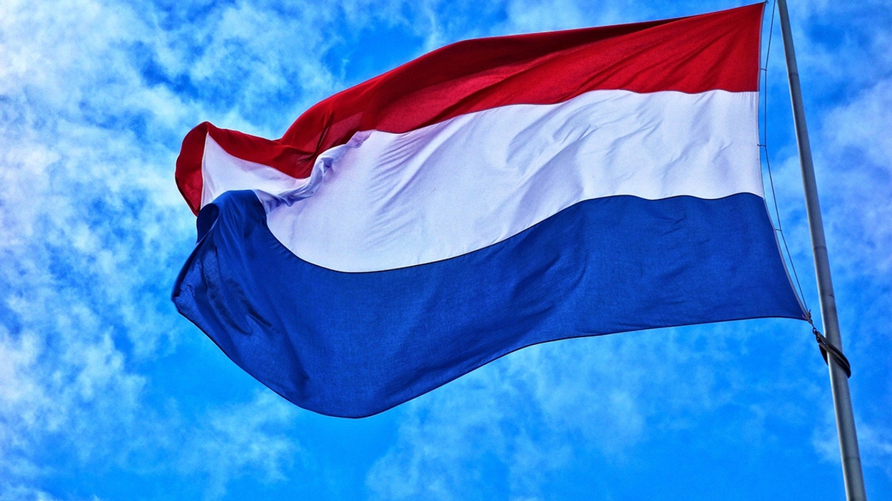 nederlandse vlag 1127