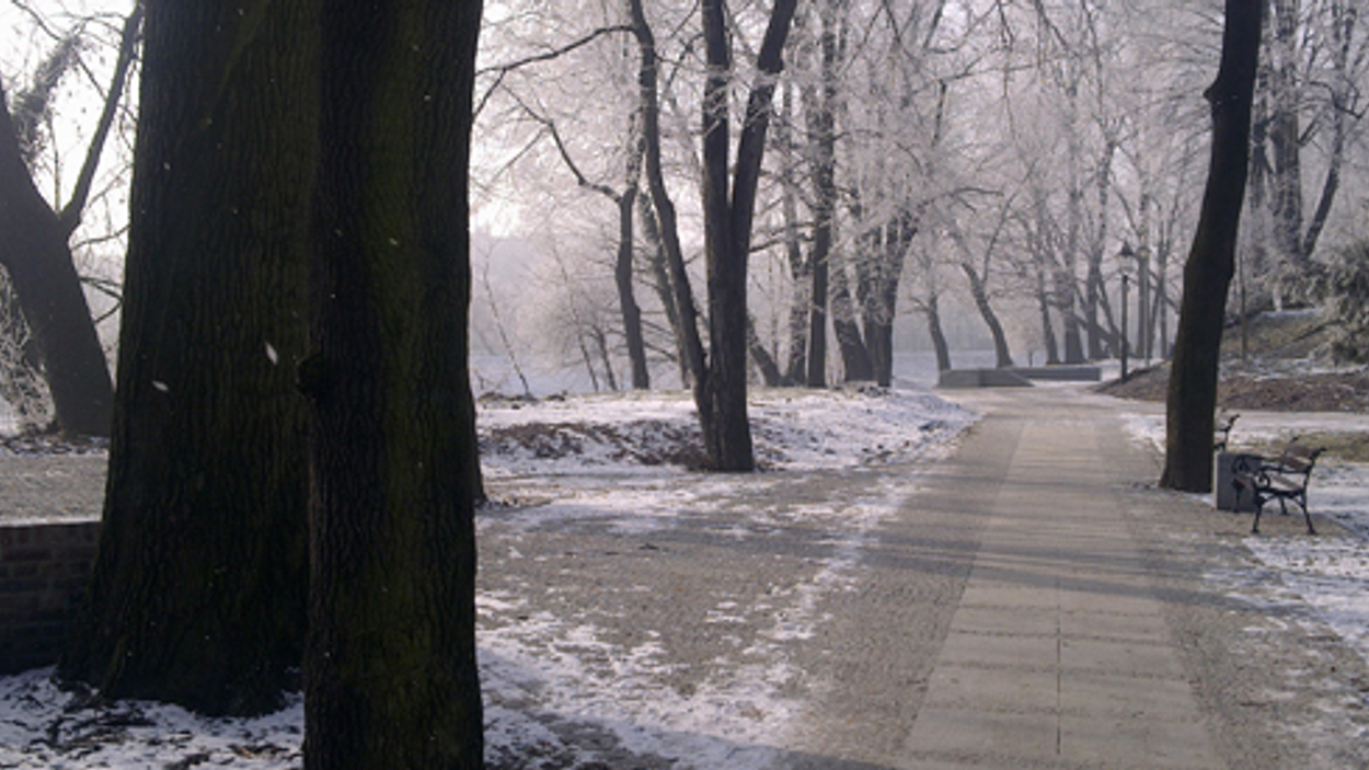 600x275_sneeuw_03.jpg