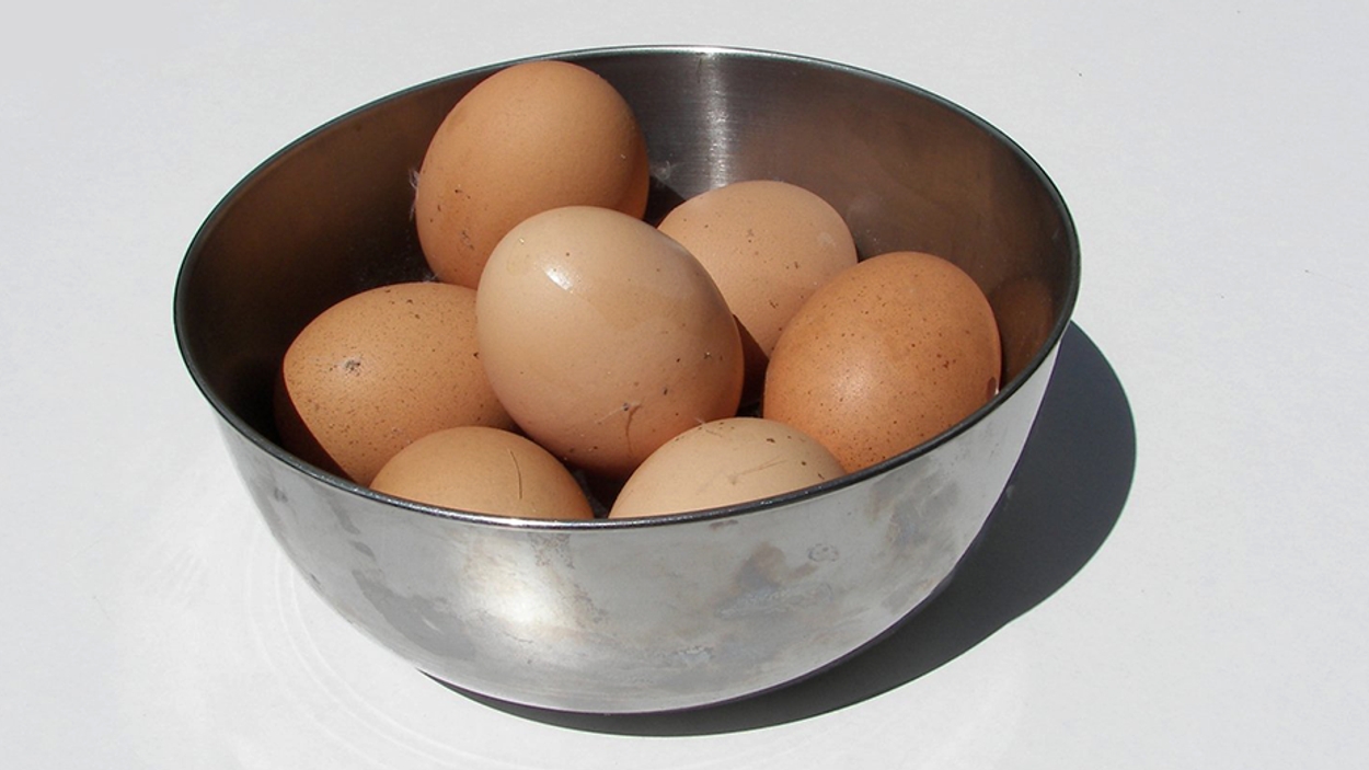 schaall eieren 930