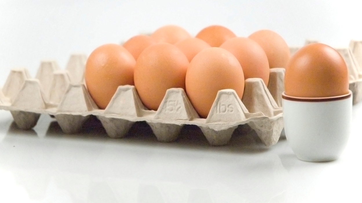 eieren eierbak 930x520