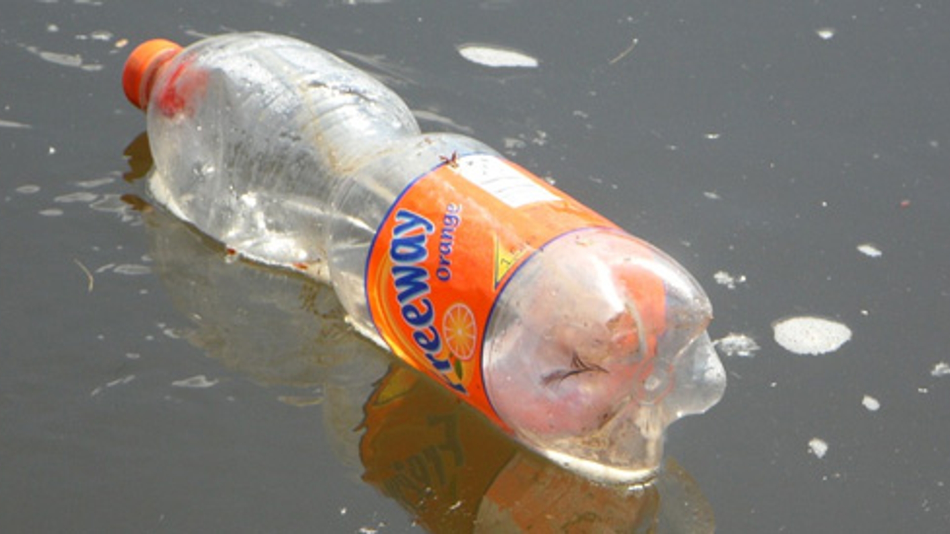 plastic_fles2_01.jpg