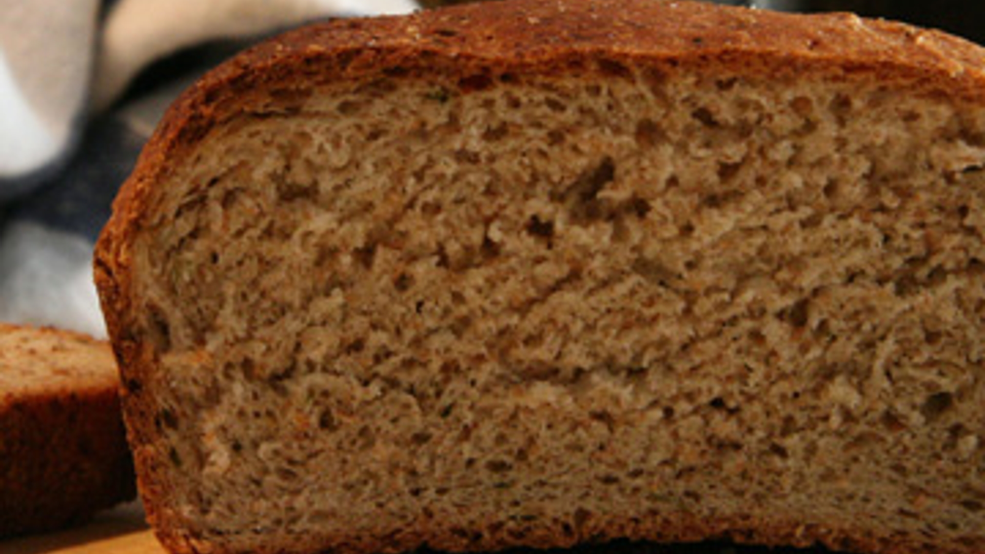 brood_04.jpg