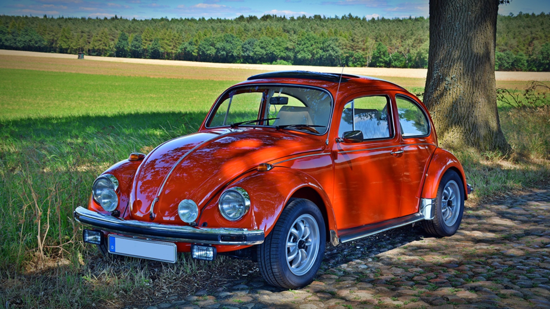 Kever auto beetle 930x520