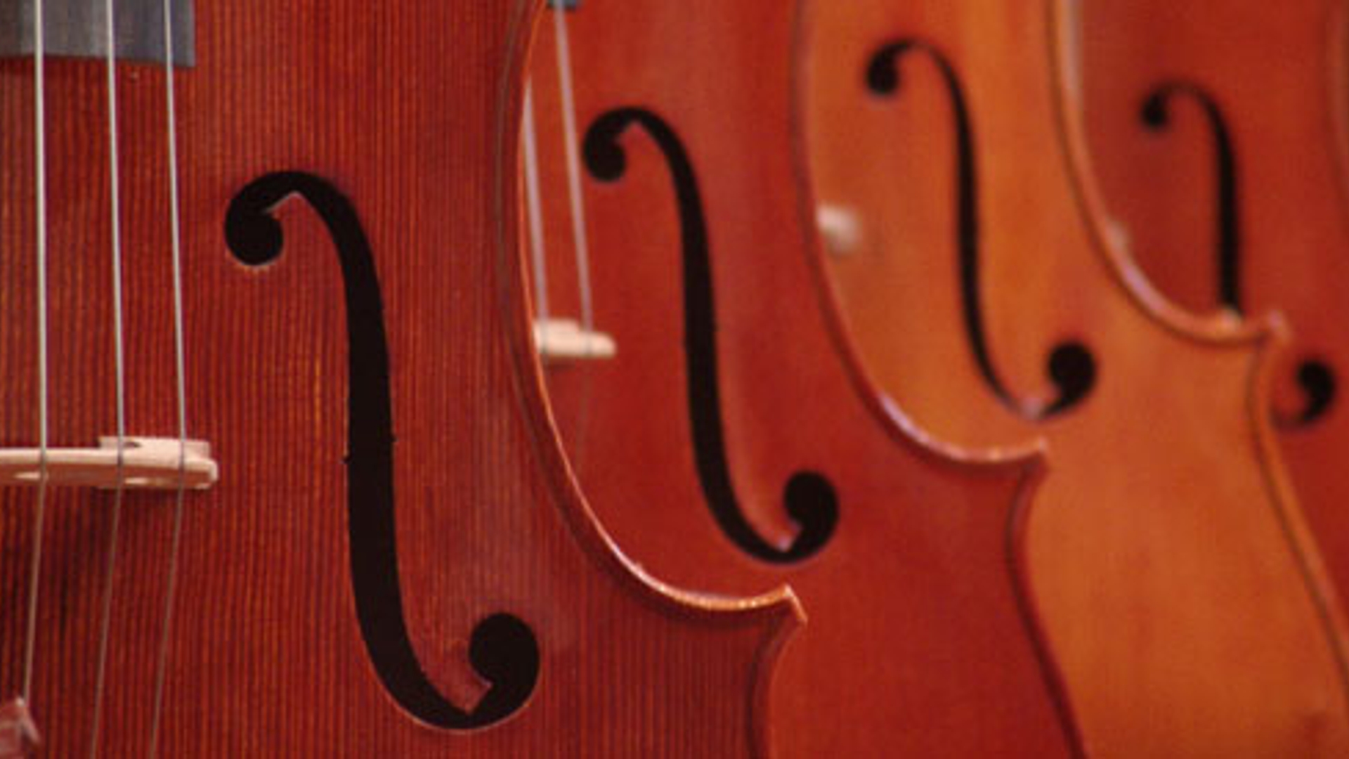 cello_contrabas.jpg