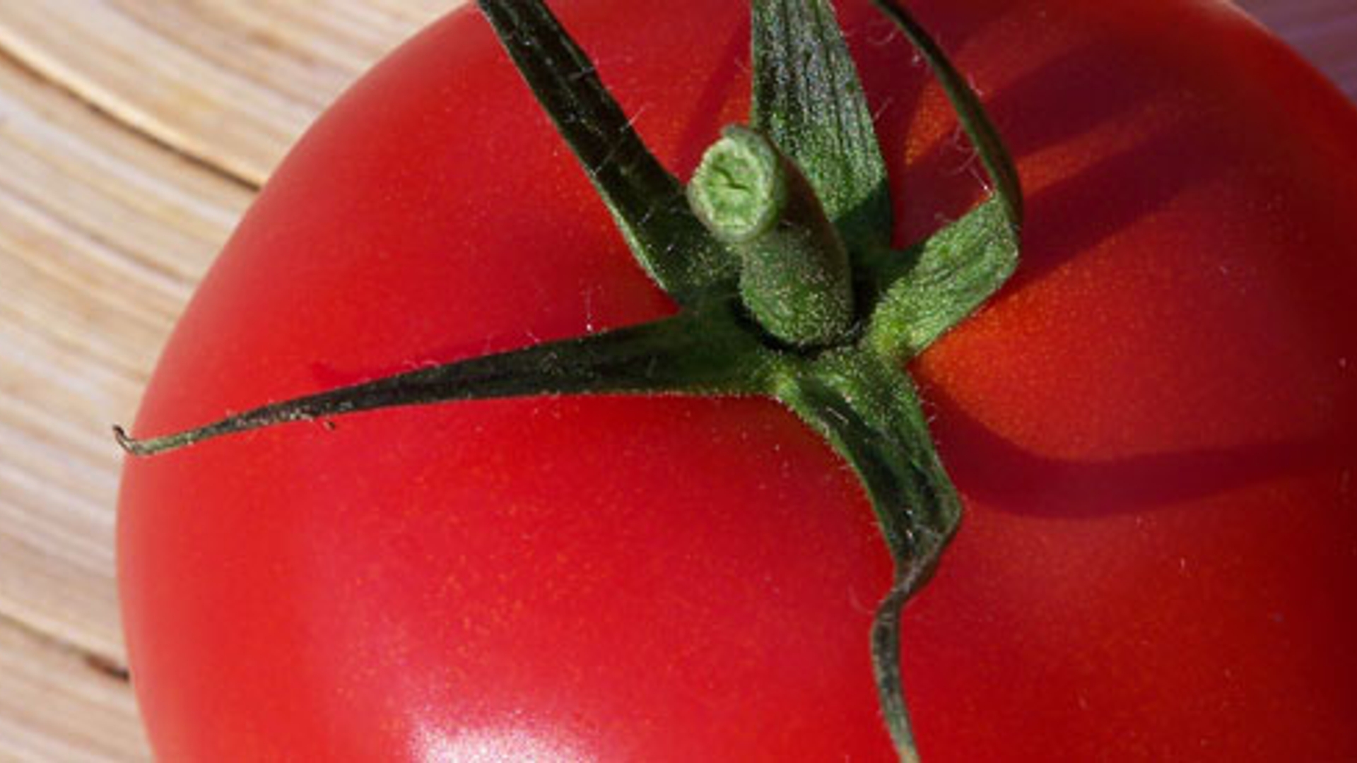 tomaten_02.jpg