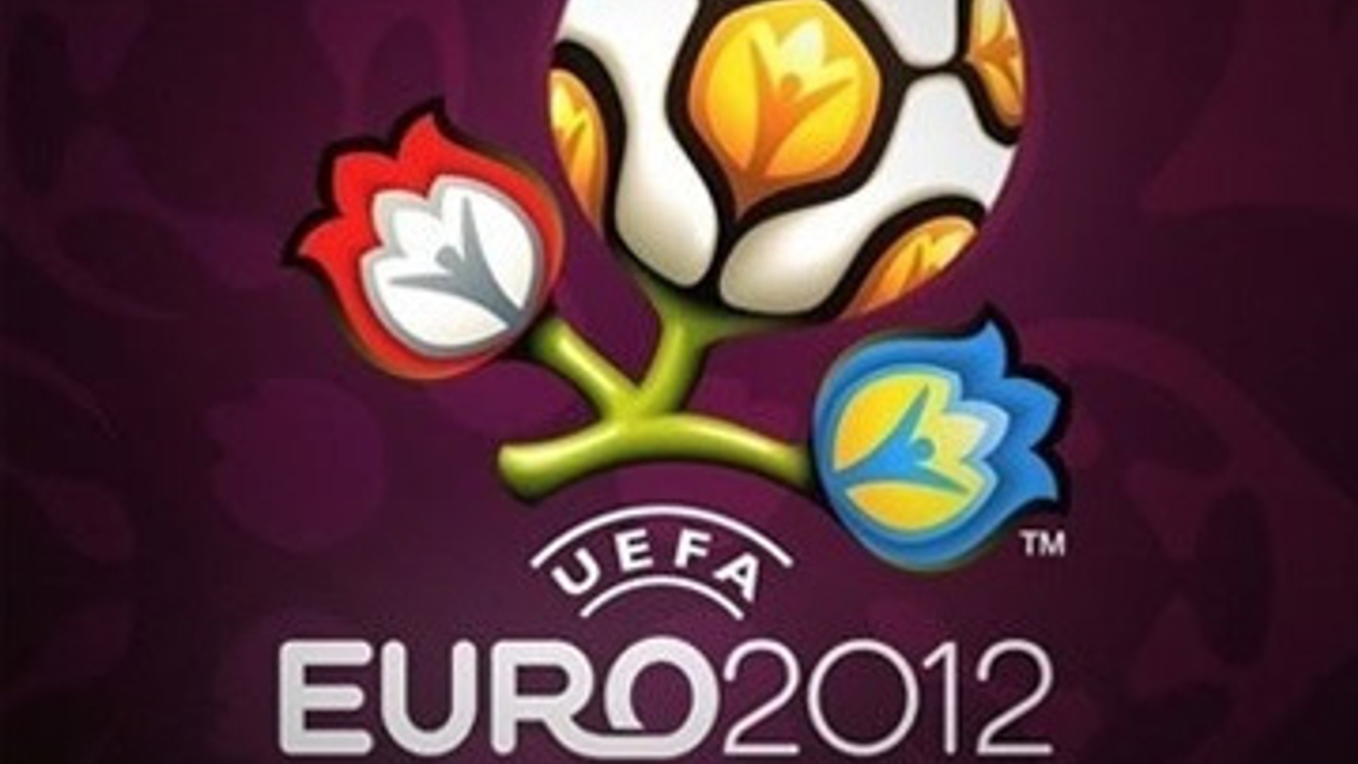 uefa2012_01.jpg