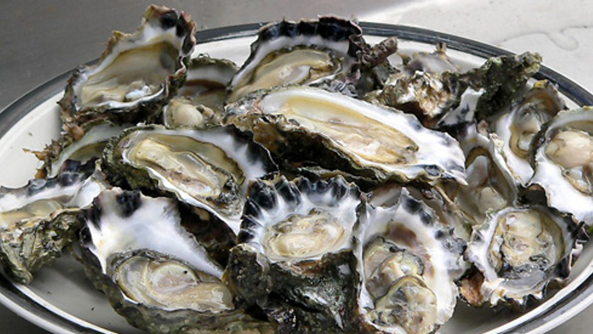 oesters.jpg