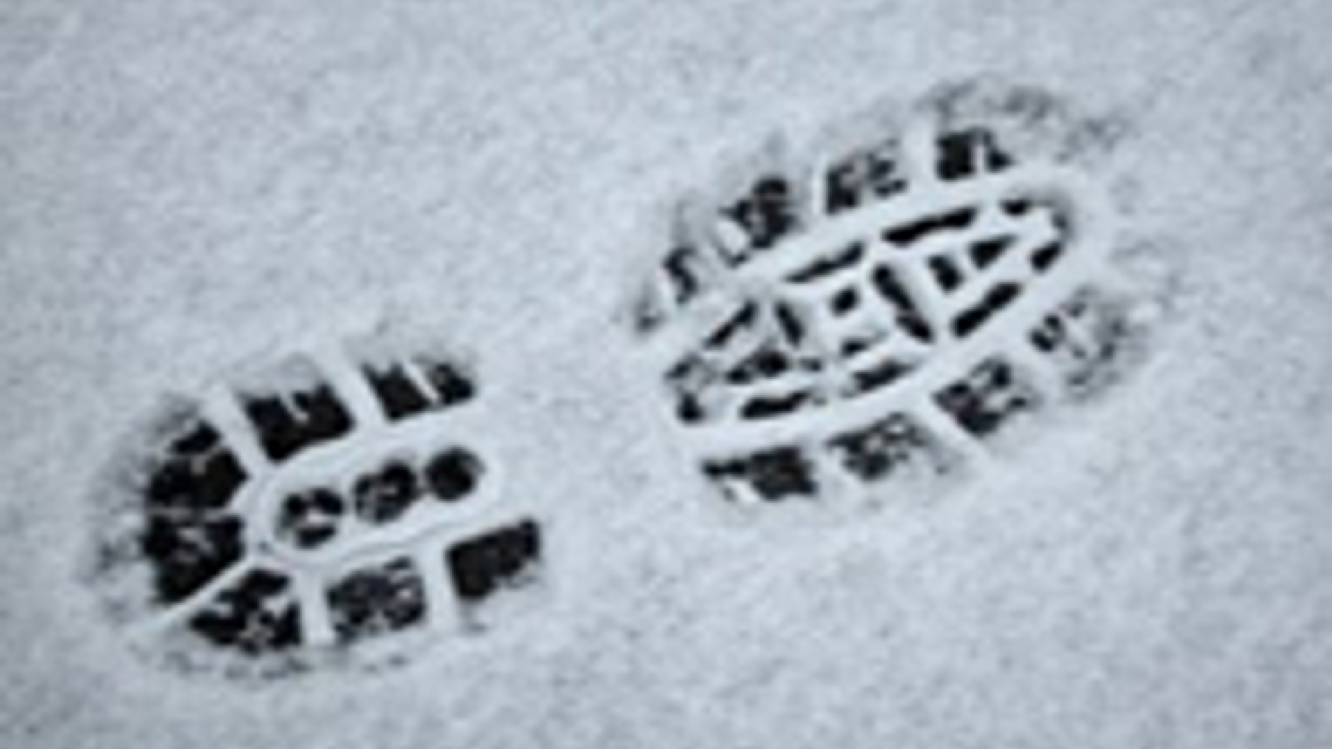 snowprint_02.jpg