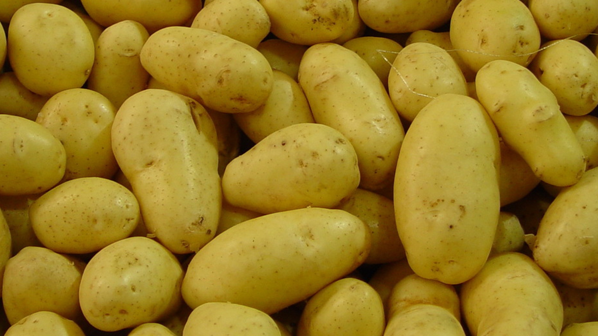 aardappel 930x520