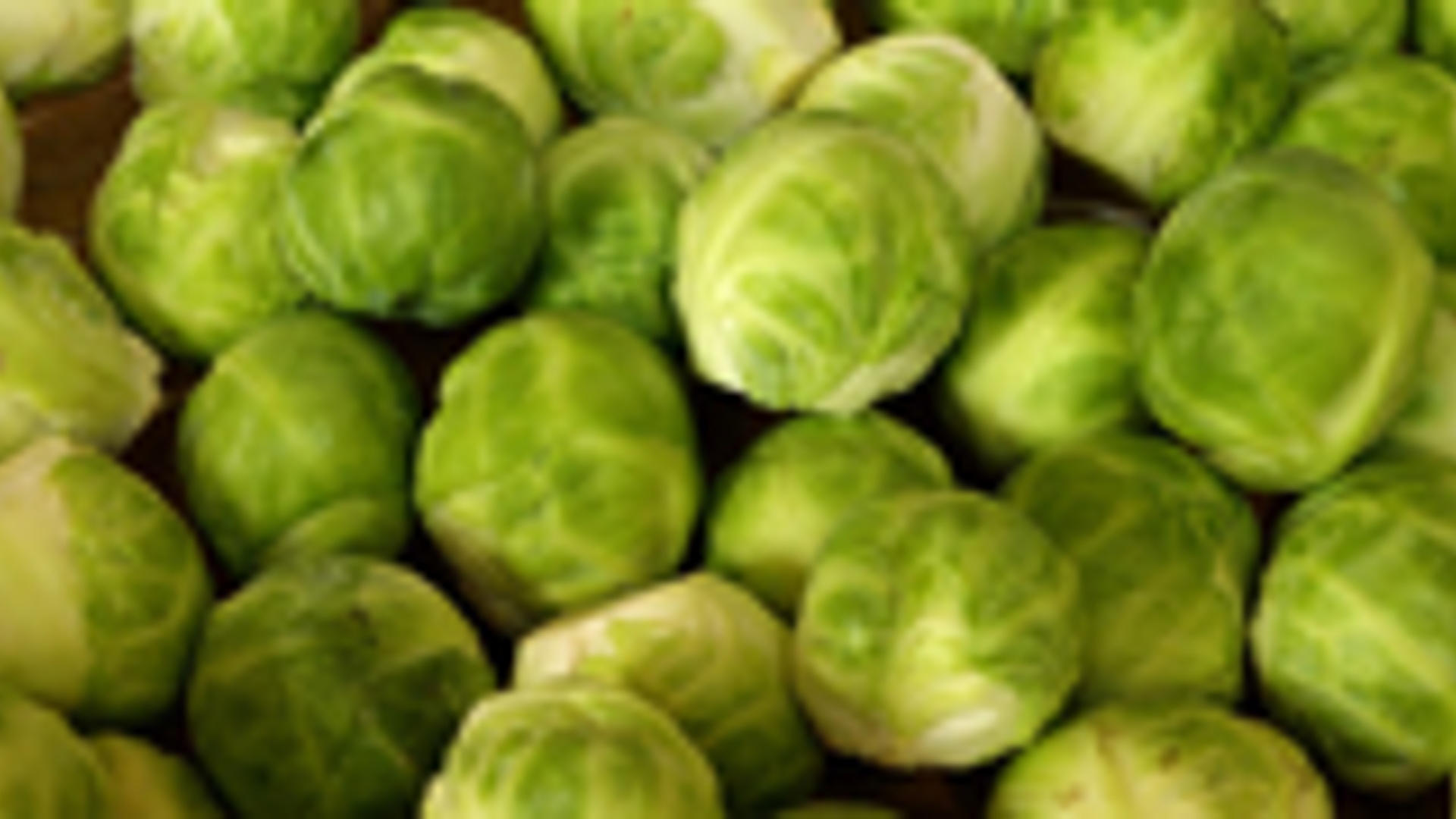 brussels-sprouts-463378_1280.jpg