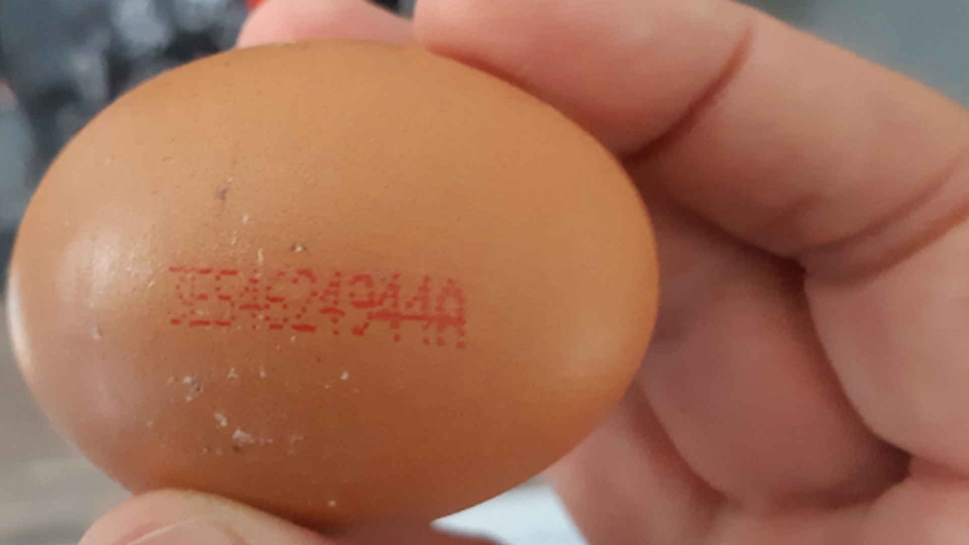 nvwa eieren met code 930