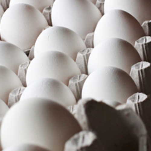 Industrie kampt met eierschaarste