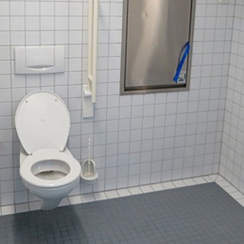 Toilet voor lichamelijk beperkten vaak ontoegankelijk
