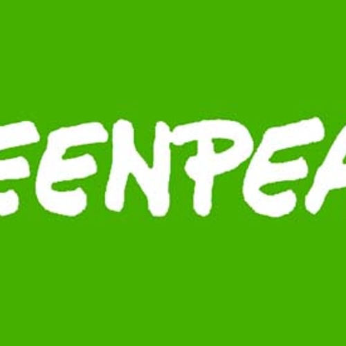 675 opzeggingen vanwege directeur Greenpeace