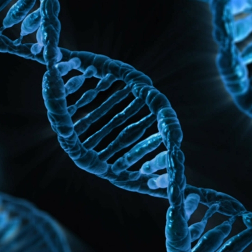 Dertien EU-landen gaan DNA-databanken koppelen