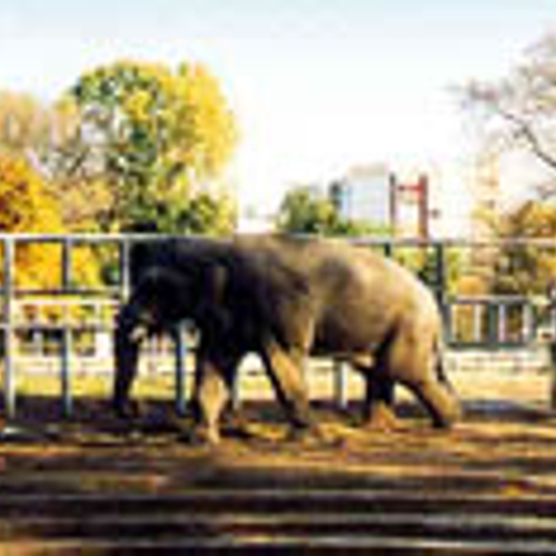 Boete voor Ouwehands Dierenpark