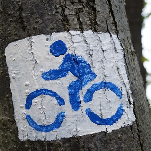 Amsterdams fietspad verlicht zichzelf