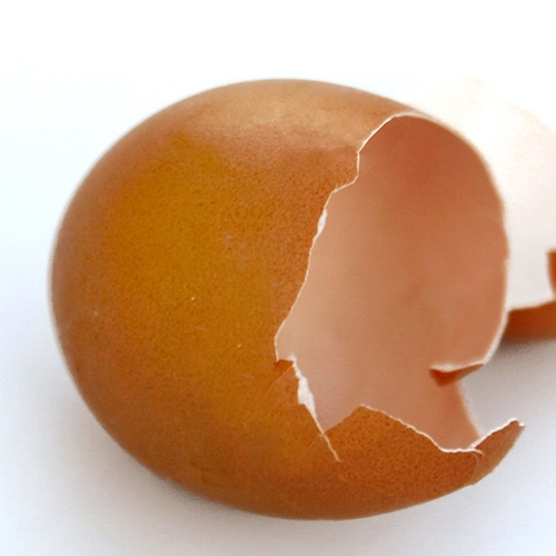Besmette eieren: overig nieuws