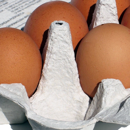 Al 45 landen ontdekken gif fipronil in eieren