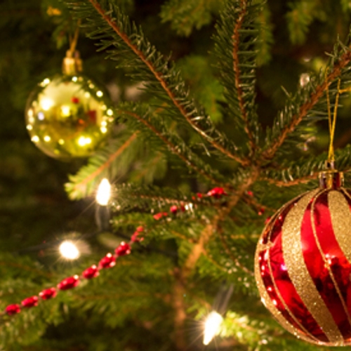 'Winkeldief slaat vooral toe in kerstperiode'