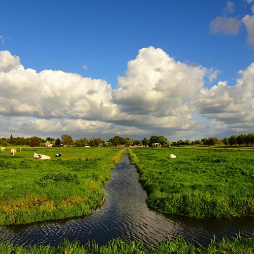 Waterkwaliteit Nederlandse sloten gedaald