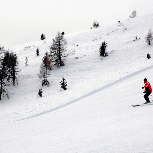 Afbeelding van Miljoen skiërs deze winter richting Alpen