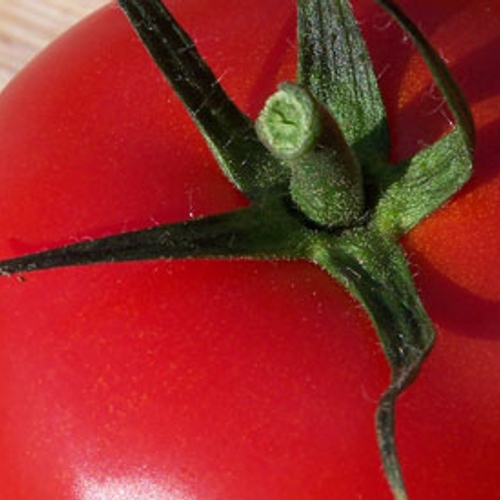Tomaten beschermen tegen hartaandoeningen