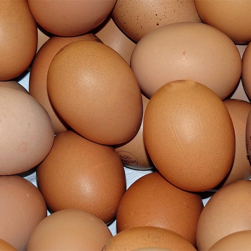 Boete voor frauderende eierhandelaar