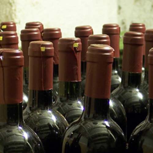 Nederlandse wijnbouwers schenken een glaasje