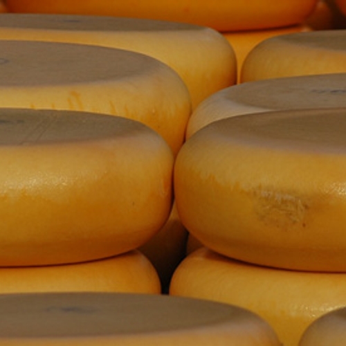 Vanavond in Kassa Groen: Welke belegen kaas is het lekkerst en duurzaamst?