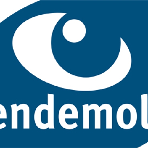 Endemol steekt miljoenen in online video