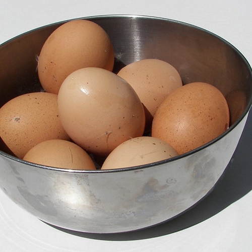 Vandaag duidelijkheid NVWA over besmette eieren