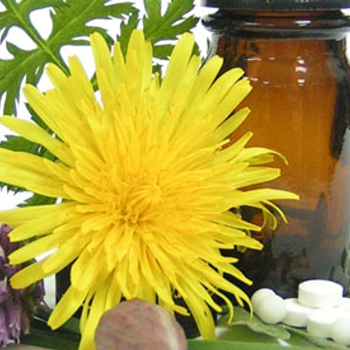 Homeopathische sites overtreden regels