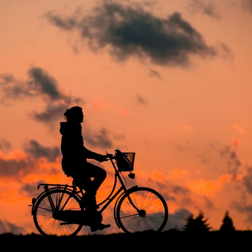 Fietsersbond vraagt hulp aan fietsend Nederland