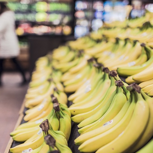 Nieuwe stap in ontwikkeling duurzame banaan
