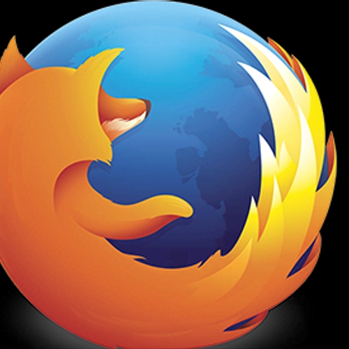 Firefox blokkeert Flash door lek