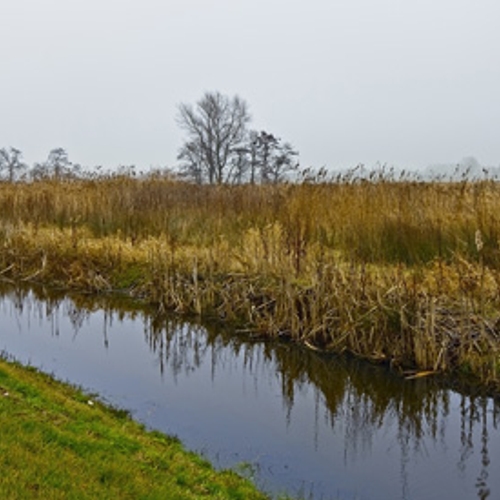 Gevaarlijke bacterie gevonden in rivier in Gelderland