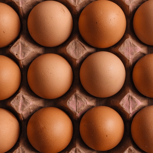 Afbeelding van Hoelang kun je eieren bewaren?