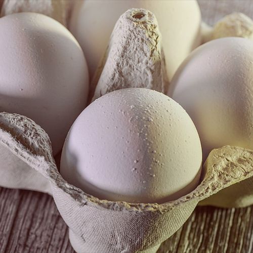 Afbeelding van Welk ei is het diervriendelijkst?