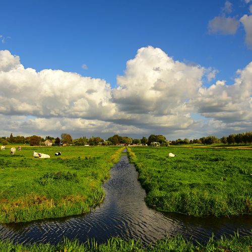 Afbeelding van Waterkwaliteit Nederlandse sloten gedaald